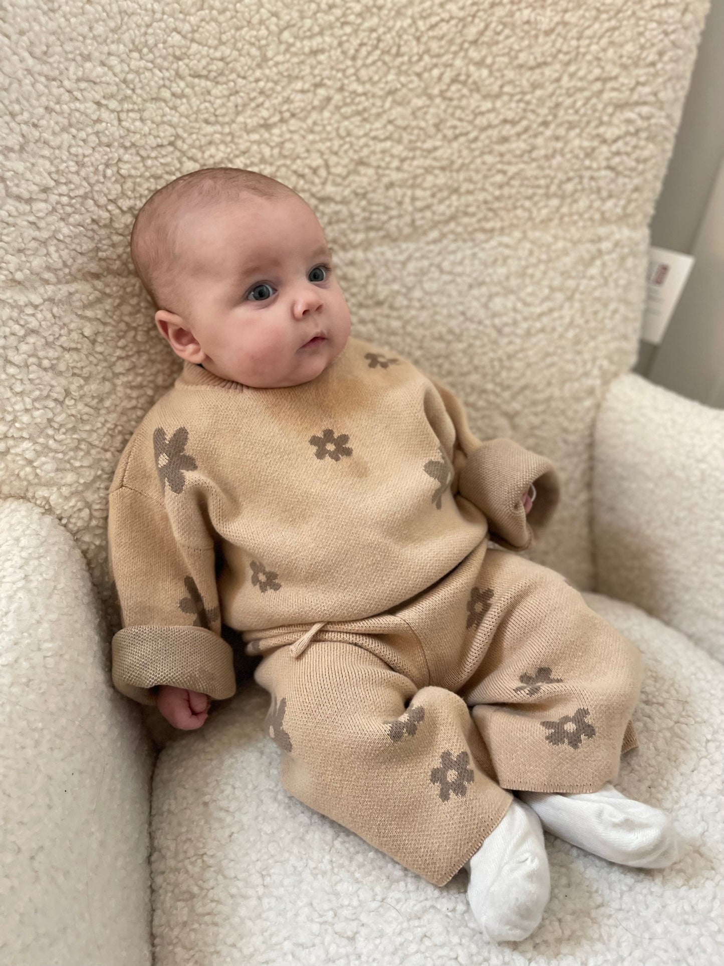 Daisy-Set
