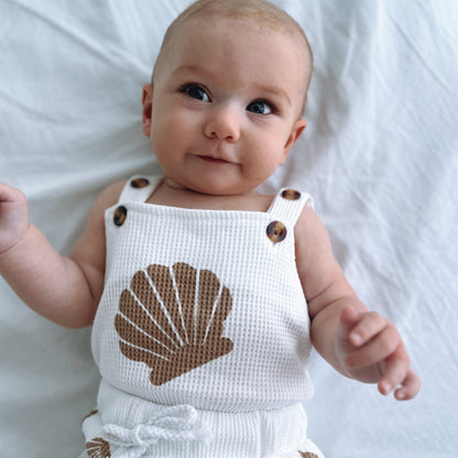 Seashell Set